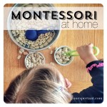 Montessori at Home