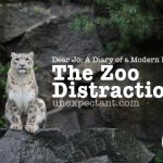 Dear Jo: The Zoo Distraction